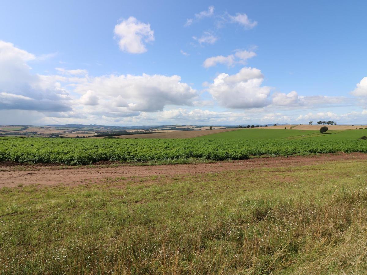 Tiore Kelso Exteriér fotografie