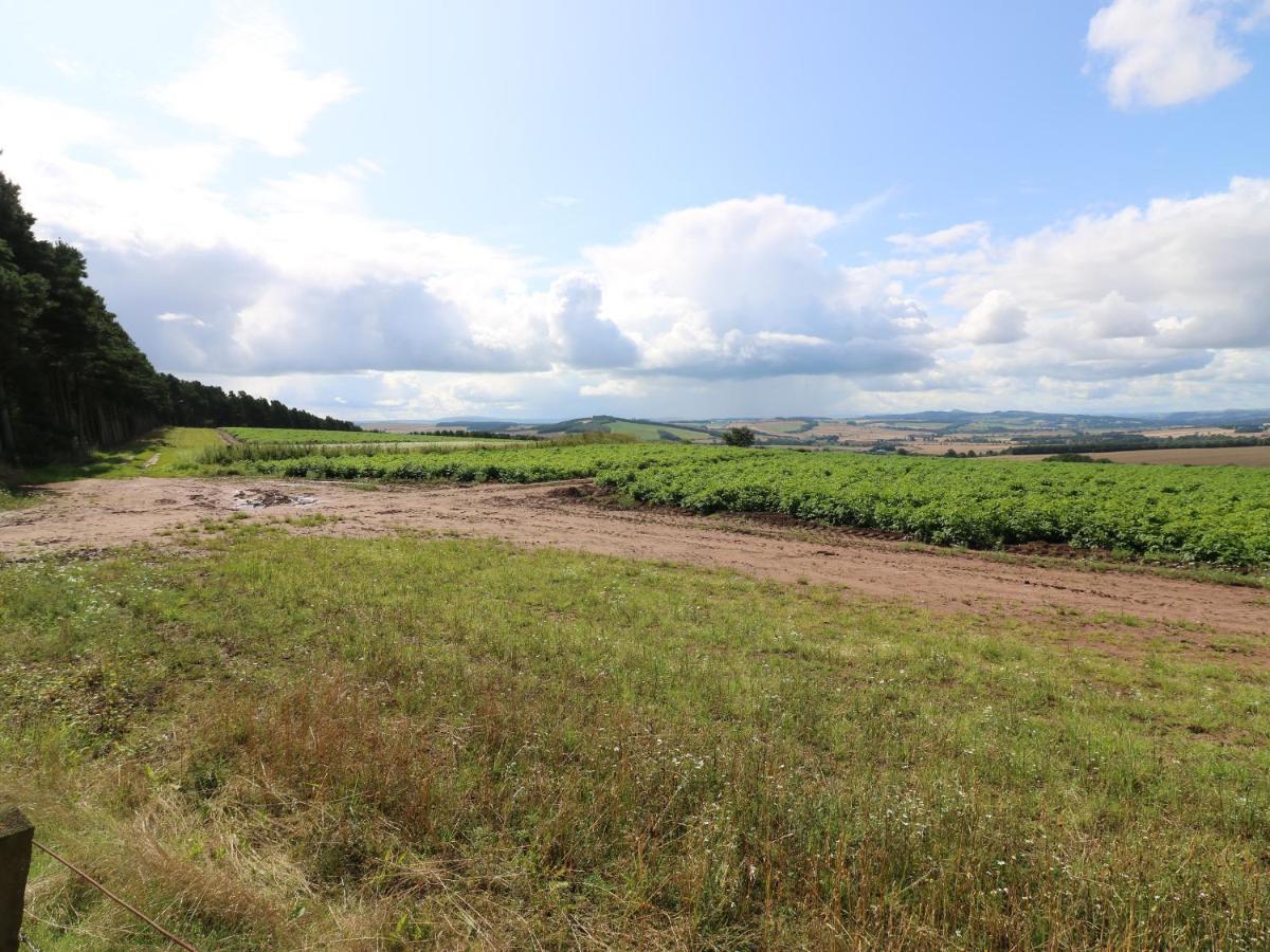 Tiore Kelso Exteriér fotografie